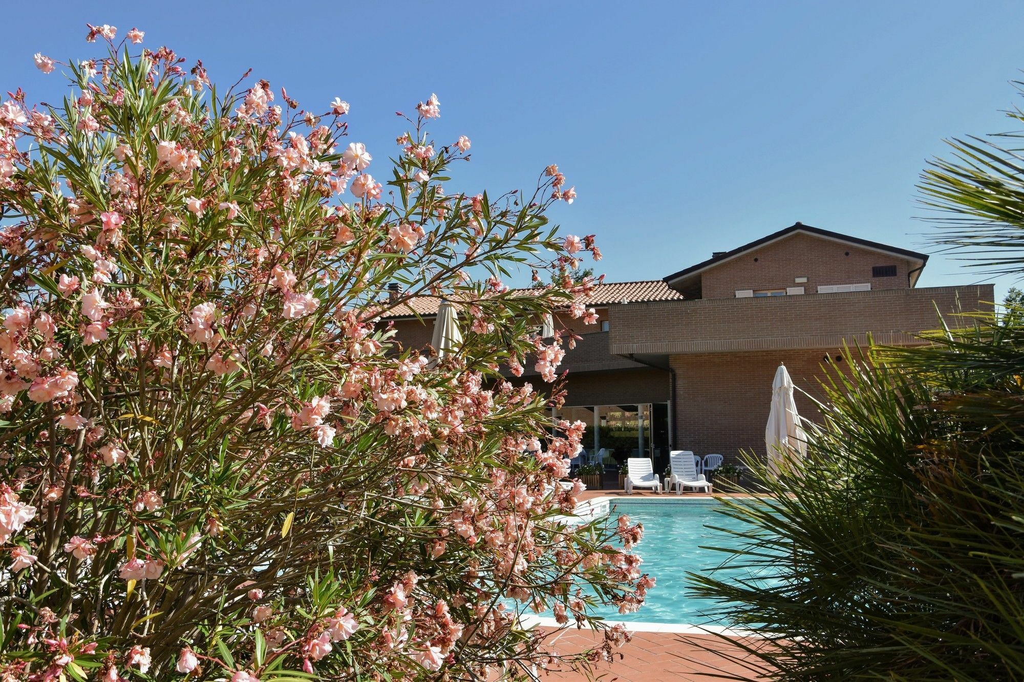 Residence San Rossore ปิซา ภายนอก รูปภาพ